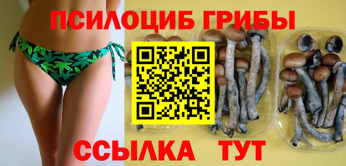 Псилоцибиновые грибы GOLDEN TEACHER Озёрск
