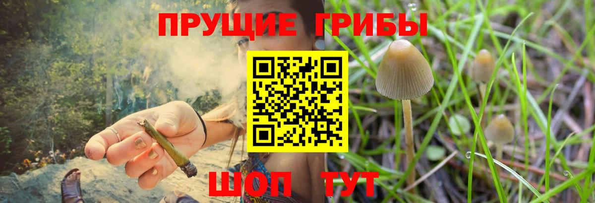 Озёрск  Галлюциногенные грибы мицелий  Галлюциногенные грибы GOLDEN TEACHER  Вход с VPN 